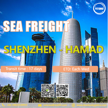 Freight international de la mer de Shenzhen à Hamad Qatar