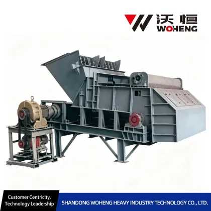 LG Series Chain Feeder