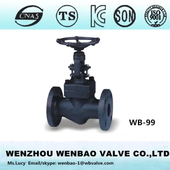 WB-99 A105N forged steel globe valve /flanged globe valve F304 /Globe vave 1"