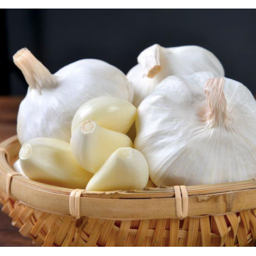 সাদা রসুন রসুনের কিমা তৈরি করতে ব্যবহৃত হয়