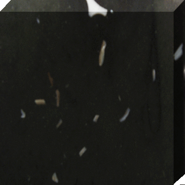 Black Quartz Stone Slabs- (YR0746)