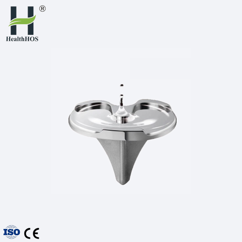 knee joints prothesis products