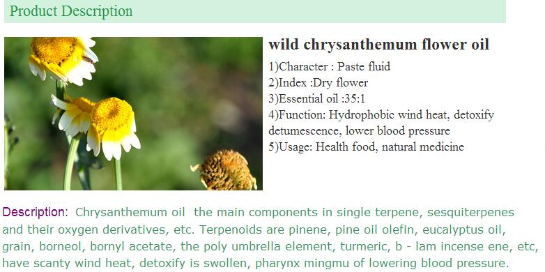 100% pure natural wild chrysanthemum flower oil