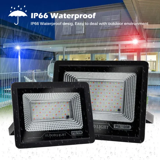 220V RGB Waterproof Flood Light - Remote Control Landscape Lighting (50W/100W)