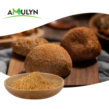 Lions Mane Hericium Erinaceus Mushroom Extract Powder