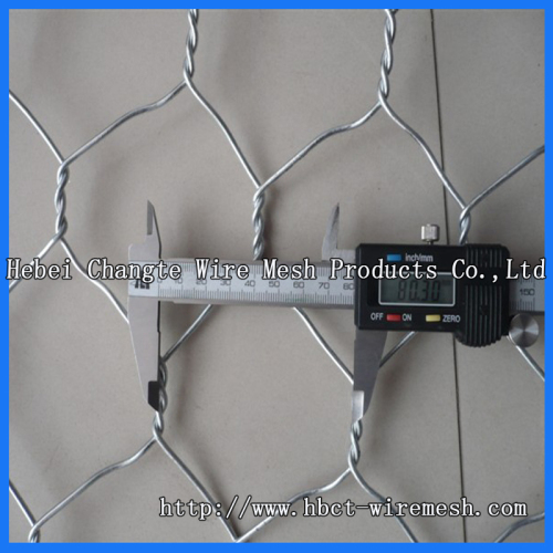 (PVC / Hot / Electric) Hexagonal Mesh (6*8 8*10)