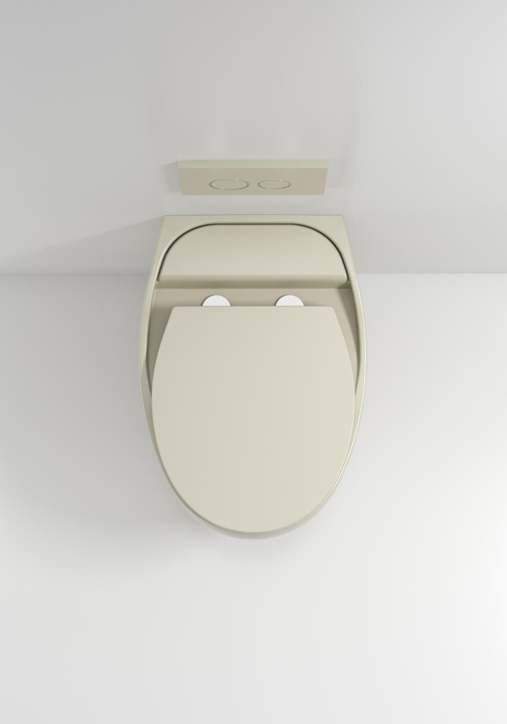 Lion Wall Hung Toilet060