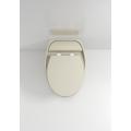 Ceramic Wall Hung Toilet with Certification