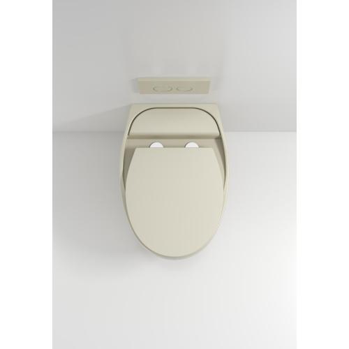 Ceramic Wall Hung Toilet with Certification