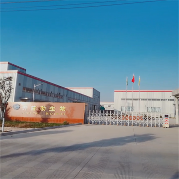 improving human immunity 5% Ginseng panax extract Manufactory