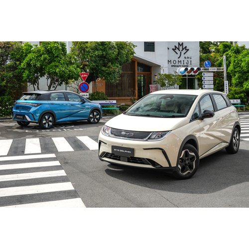 2023 BYD Dolphin Free Edition Car Electric