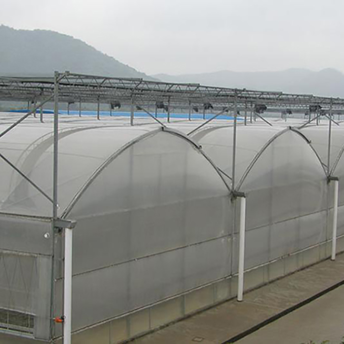 Agriculture Multi-Span Plastic Film Greenhouses