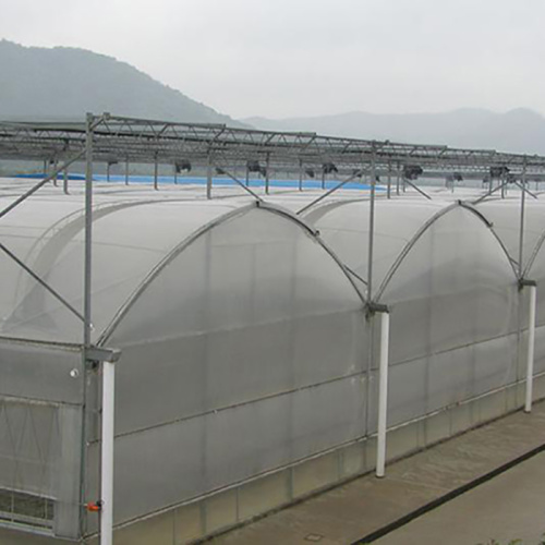 Agriculture Multi-Span Plastic Film Greenhouses