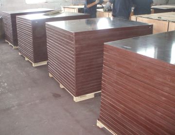 18mm Hardwood Core Brown Film Faced Plywood