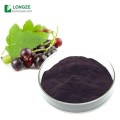 Natural Black Currant Extract Powder