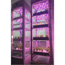 Напольный шкаф для посадки овощей YD08GBC-B02-AK