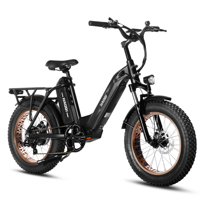 Antelope Pro 48V 25Ah Utility Fat Tire Electric Bike