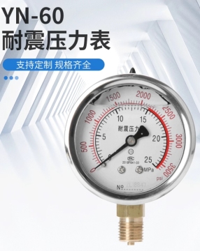 Shock Resistant Pressure Gauge
