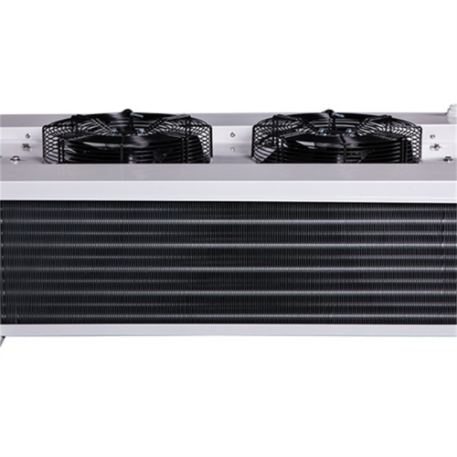 Double Side Evaporator Air Cooler