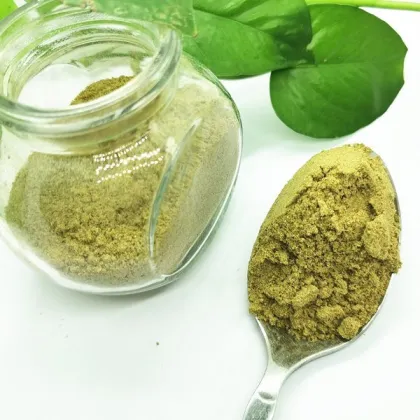 100% Natural Dehydrated/Dried Green Chilli Powder