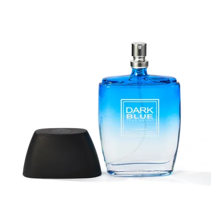 Lovali Branded Men's Long Lasting Spicy Fragrance Perfume - 100ML