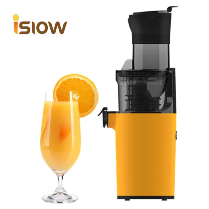 Masticating Steel Vacuum Portable Juicer: Small Portable Powder Juicer