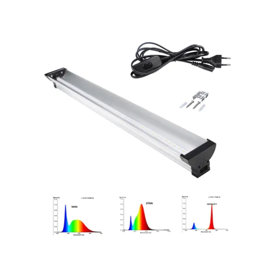 High Yield Lettuce Growing: Full Spectrum LED Grow Lights for Agriculture