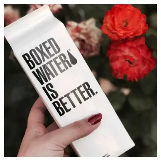 Water carton filling sealing machine