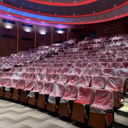 Custom Cinema Wall-to-Wall Carpets Woven Axminster Carpet