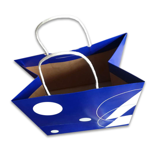 Christmas Wrapped Gift Carton Bag