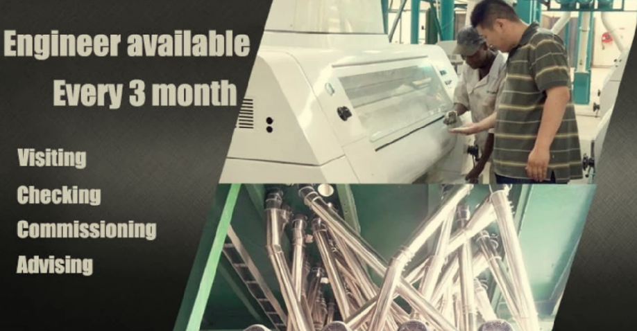Hongdefa Automatic 200t/24h wheat flour mill machine complete line with installation