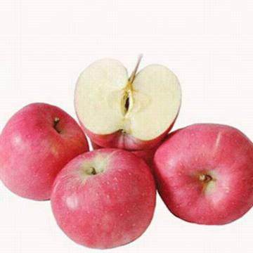 Top Quality Fresh Qinguan apple