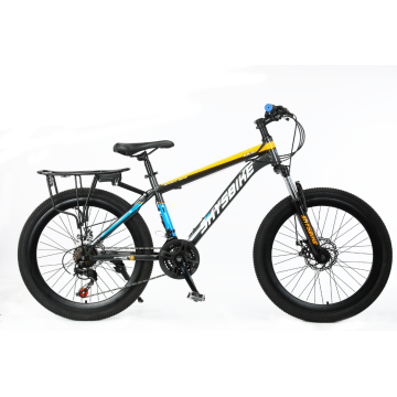TW-54-1 High Quality Bicycle Student Mountain Bike