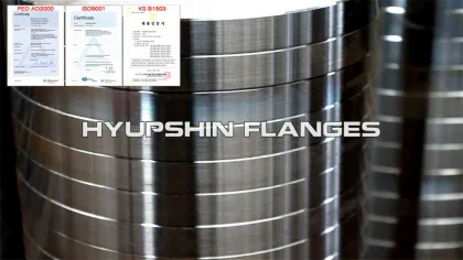 KS Flange Busan Flange 10Kg Flange 5Kg Flange