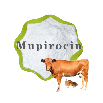 Pharmaceutical API Mupirocin oral solution powder