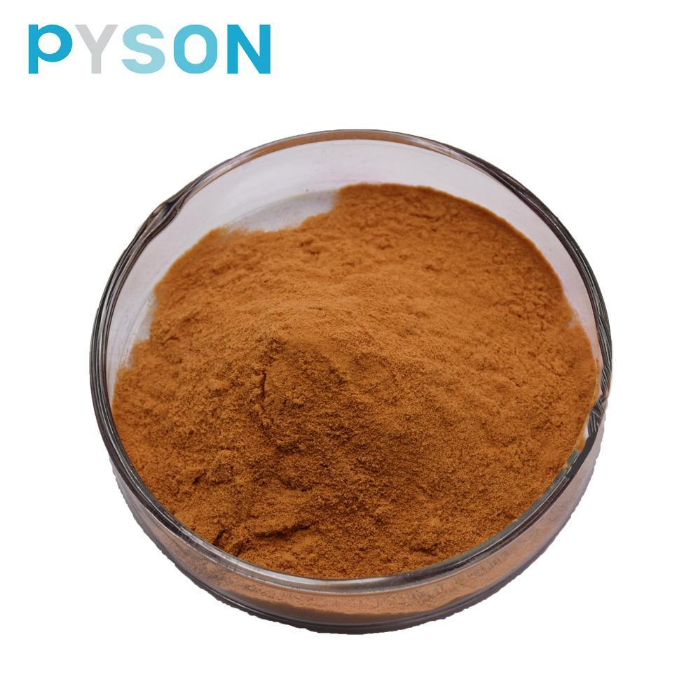 hericium erinaceus (mushroom) extract