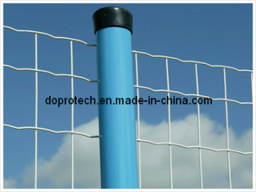 PVC Coated Holland Wire Mesh Fence (DP-HWM2)
