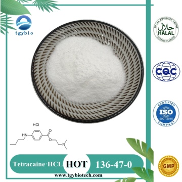 Bekalan Pukal Tetracaine Hydrochloride Powder CAS 136-47-0