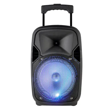 Speaker on trolley box