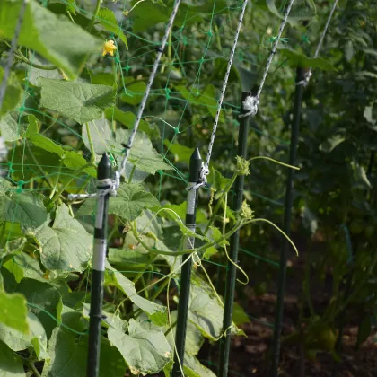 EU PROFI 4x4.5x2.5m Tunnel Greenhouse: Easy Ventilation Control