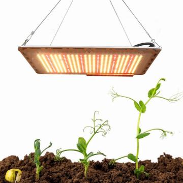 LED Grow Light Hydroponic with Samsung LM301B Chips