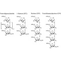 Prébiotique fructo-oligosaccharide poudre 95%