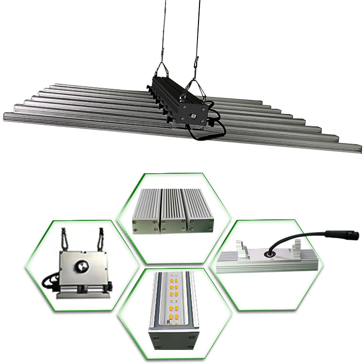 Lâmpada do dispositivo elétrico 650W para o crescimento vegetal interno da flor