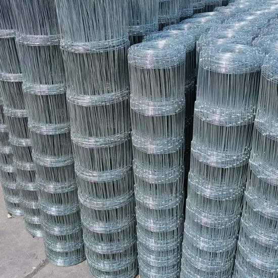Galvanized Wire Mesh Net for Field Fence Farming