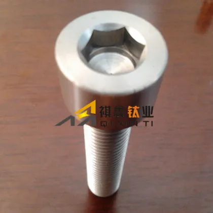 Trox head gr2 titanium bolts din933
