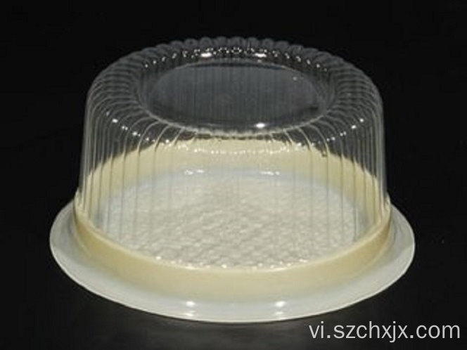 Tự động vỉ máy thermoforming cho khay nhựa