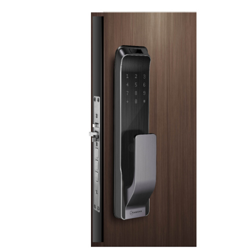 Schlüsselloser Eintrag Smart Door Schloss mit Kamera