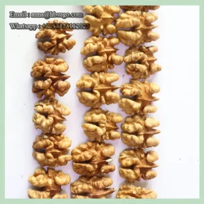 Various Sizes Walnut Kernels First Quality Walnut Kernel