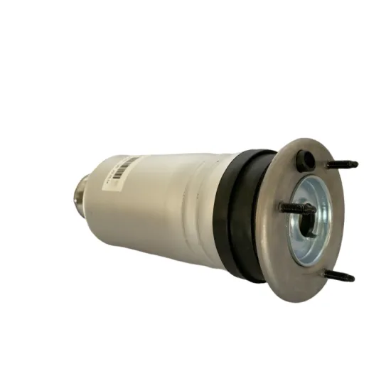 LR081560 LR081564 Front Air Shock Absorber Strut for Land Rover Discovery 5" could be simplified to:

"Front Air Shock Absorber Strut LR081560 LR081564 for Land Rover Discovery 5