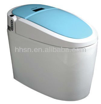 Intelligent Toilet